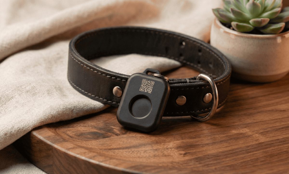 Placa 3D con porta SmartTag